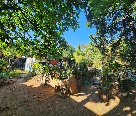 No. 47 (Lot 21 Blk. 534, Alley 1 Alley 3) Lumot Ave., Tatalon, Sta. Mesa Heights Quezon City