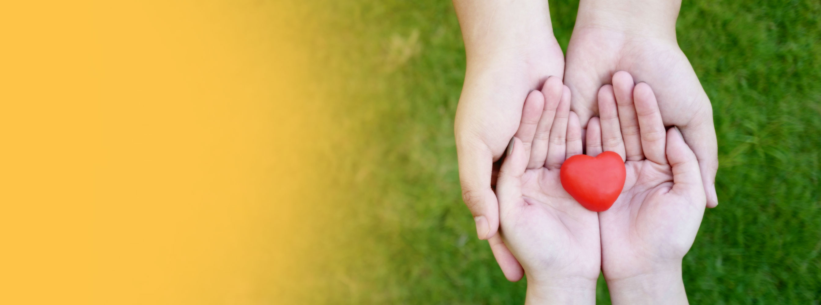 Sterling Bank Advocacy Desktop