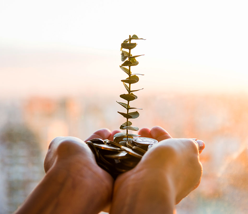 Sterling Bank Equity Feeder Fund